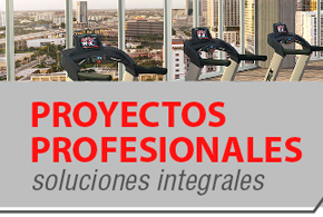 Proyectos Profesionales en Dextra Proyectos Profesionales en Dextra